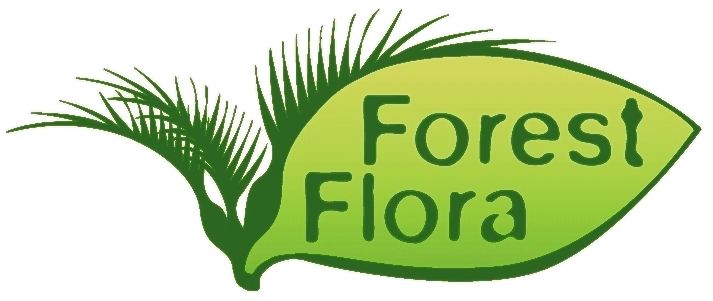 Forest Flora native plants nursery supplies ecosourced native plants for ecological restoration